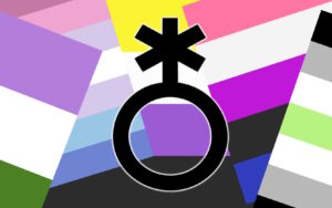 Nonbinary symbol with gender identity flags